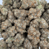 Black Truffle