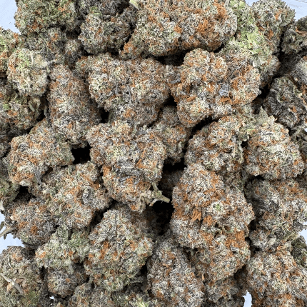 Cn7 Black Truffle