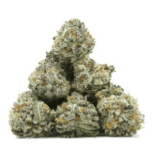 King’s Kush