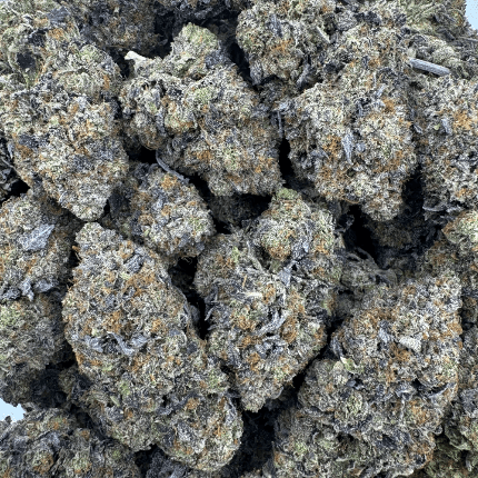 cn28 Pine Tar Kush