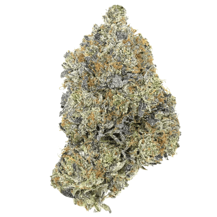 cn31 Pine Tar Kush