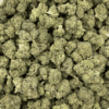Platinum Huckleberry