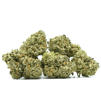cn33 Platinum Huckleberry