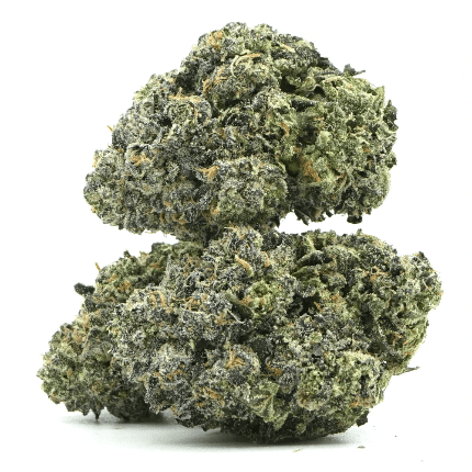 cn40 Skywalker OG