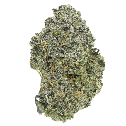 cn41 Skywalker OG
