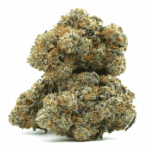 cn9 Black Truffle
