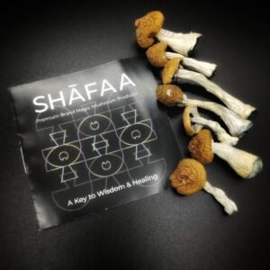 Amazonian Magic Mushrooms