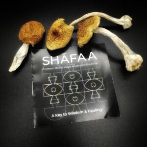 Magic Mushroom Dried Fruits