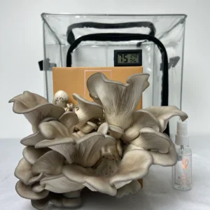 Essentials Bundle Gift Set +2 Grow Kits