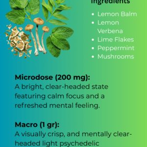 Magic Mushroom Tea – Light Blend Pack