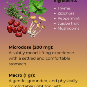 Magic Mushroom Tea – Warm Blend Pack