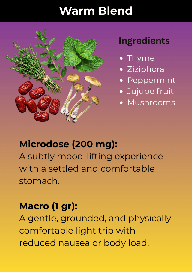 hmt2 Magic Mushroom Tea – Warm Blend Pack