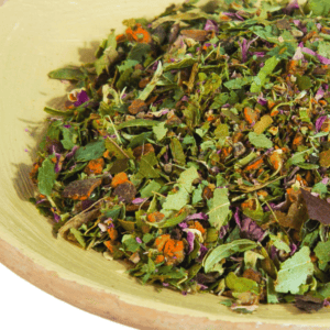 Magic Mushroom Tea – Calm Blend Pack