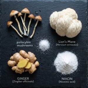 Microdosing Mushroom Capsules – Cognition Blend