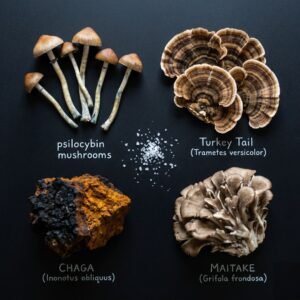 Microdosing Mushroom Capsules – Immunity Blend