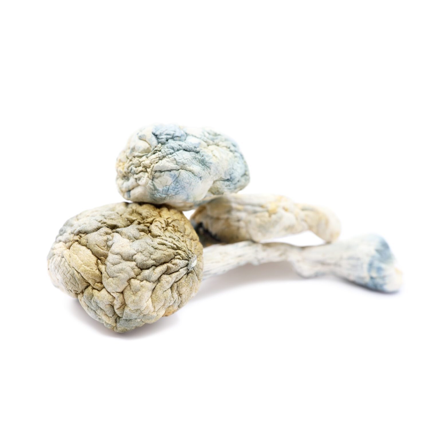 mr Alien Bubbles Magic mushroom