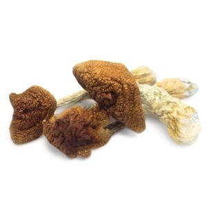 Golden Teachers