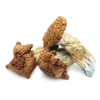 Mushrooms