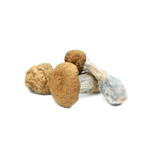Mushrooms