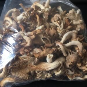 Dried Oyster Mushroom