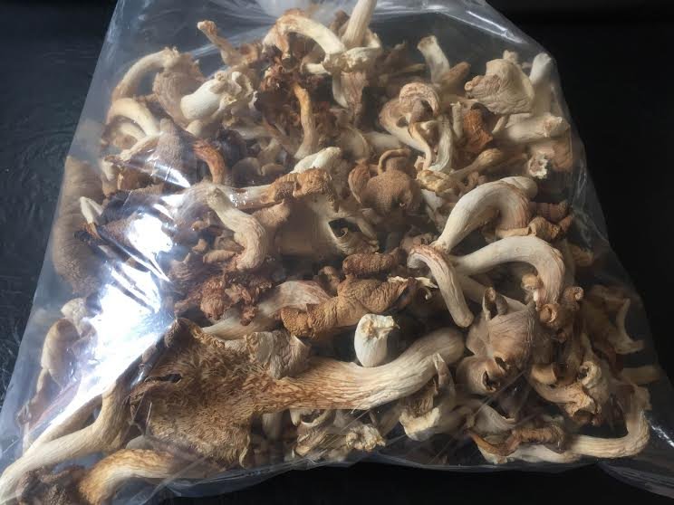 DRIED MUSHROOM (2) Dried Oyster Mushroom