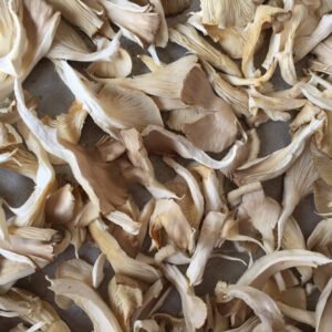 Dried Oyster Mushroom
