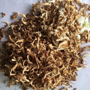 Dried Oyster Mushroom