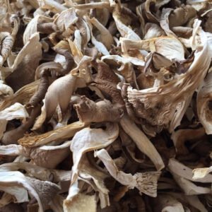 Dried Oyster Mushroom