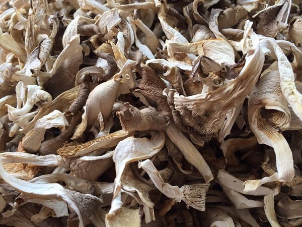 nấm bào ngư sấy khô Dried Oyster Mushroom